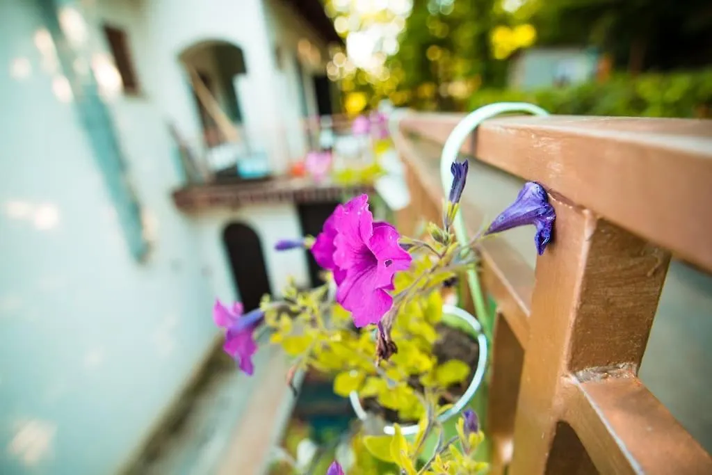 Zgora Mora-Above The Sea-Peacefull,Family Frendly Apartment Lovran 0*,  Croatia